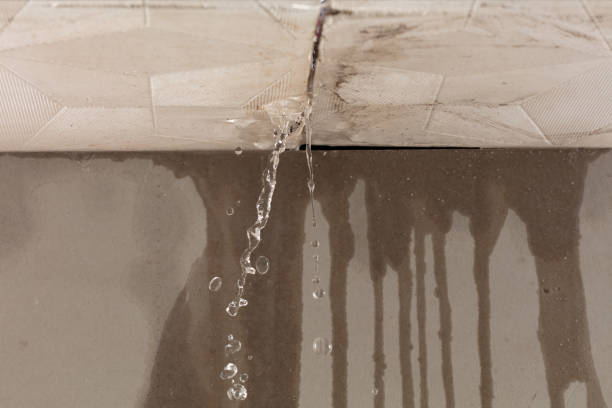 Professional Water Damage Inspection technician working in Rheems, PA